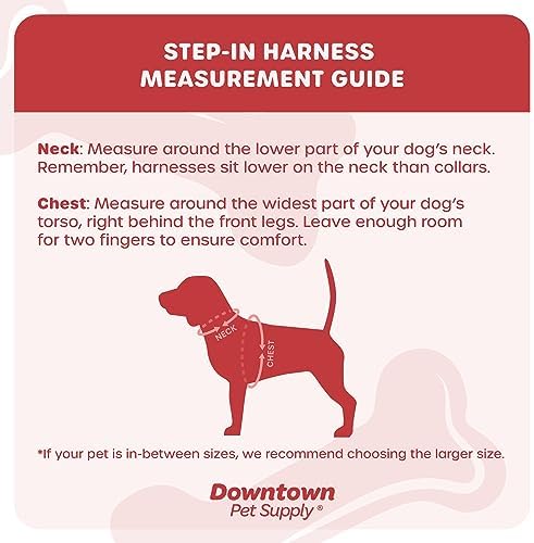 Downtown Pet Supply Step in Dog Harness No Pull, Light Gray - Image 2