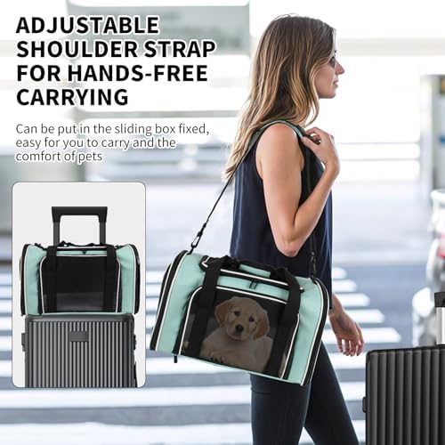 Carriers Soft-Sided Large Pet Carrier - Image 6