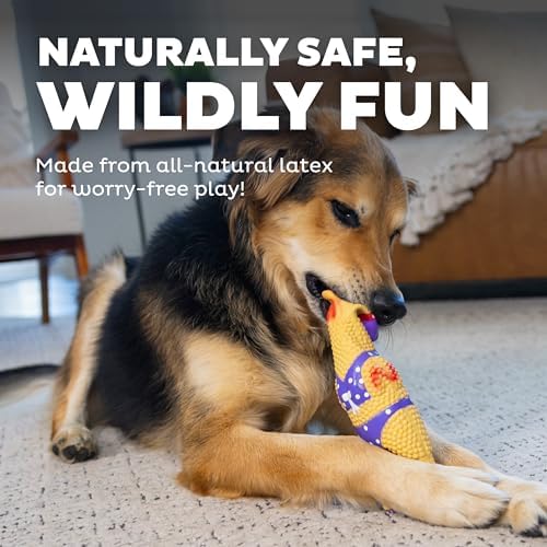 Outward Hound by Charming Pet Squawkers Henrietta Latex Squeaky Rubber Chicken - Image 4