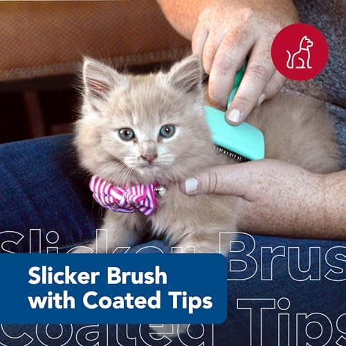 Coastal Pet Lil Pals Kitten Slicker Brush - Image 2