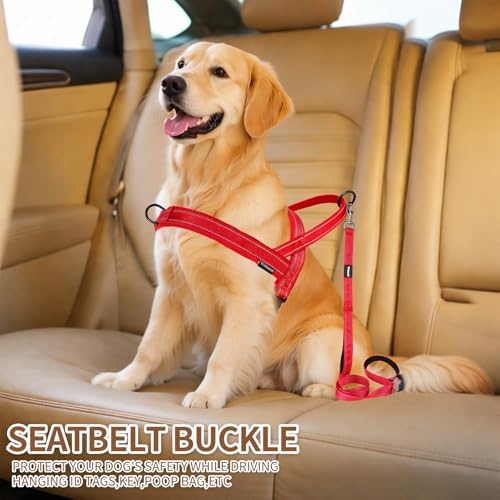 No Pull Dog Harness and 5FT Leash Set - Image 6