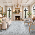 Area Rugs for Living Room Dining Room 9x12 Washable Non-Slip Vintage Grey by WelcometoBabovid