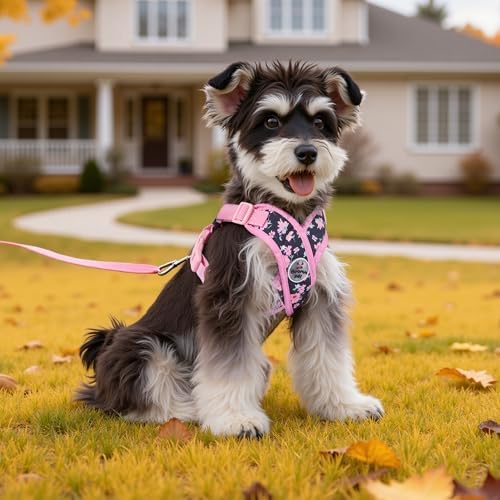 Patas Lague Dog Harness Medium Sized Dog Pet Vest Leash Set Floral Pink L - Image 2
