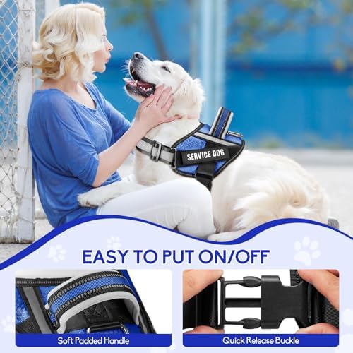 Service Dog Vest Harness and Leash Set, Animire in Training Dog Harness - Image 4
