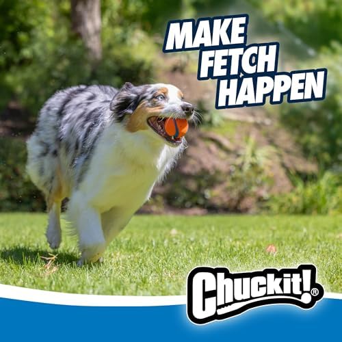 Chuckit! Ultra Ball Dog Toy, Durable Rubber, Medium 2.5-in, 2 Pack - Image 3