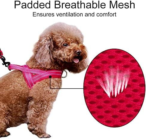 Plutus Pet No Pull Dog Harness for Puppy Small Dogs, Breathable Mesh Padded - Image 3