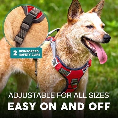 Embark No Pull Dog Harness, Reflective Adjustable Training Vest, No Choke - Image 5