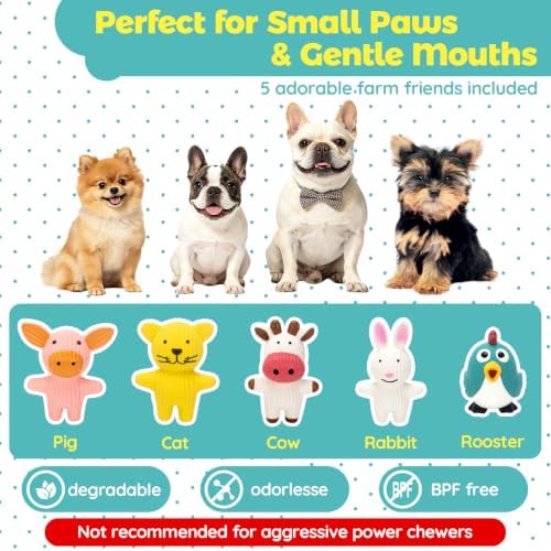LECHONG 5 Pack Latex Dog Toys for Small Dogs – Squeaky Squeeze Toys, Puppy - Image 2