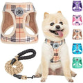 BEAUTYZOO Small Dog Harness and Leash Set, No Pull Puppy Pet Vest- Beige by BEAUTYZOO