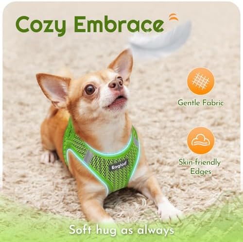 Eagloo Small Dog Harness and Leash Set, Step in Medium Small Puppy Pet Vest - Image 4