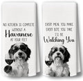 Dog Kitchen Towels Decor Set of 2 by BCUANGD