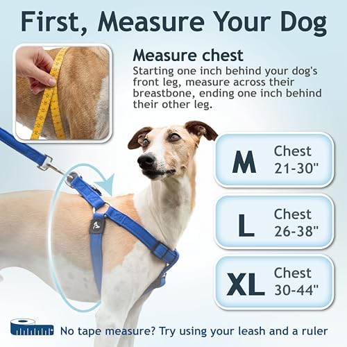 Kruz No Pull Dog Harness Heavy-Duty Pet Harness - Image 3