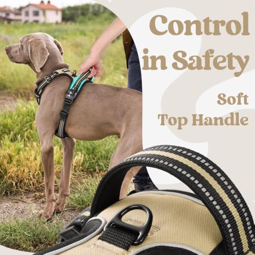 rabbitgoo Dog Harness Small Sized, Updated Easy On & Off - Image 5