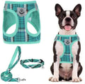 PUPTECK Dog Harness, Collar and Leash Set No Pull by PUPTECK
