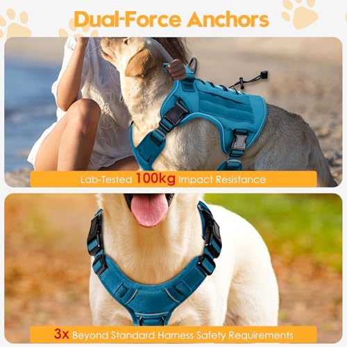 Heavy-Duty Tactical Dog Harness - Image 4