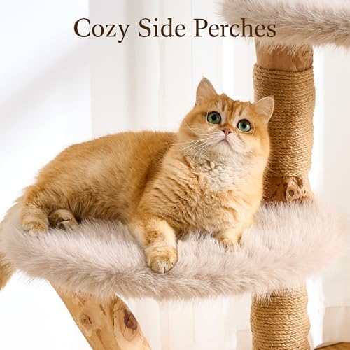 HITTITE Natural Wood Cat Tree Tower - Image 5