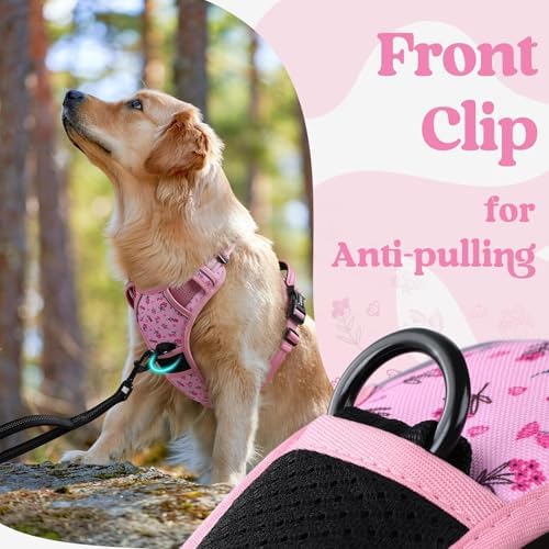 rabbitgoo Dog Harness for Large, Updated Easy On & Off - Image 7