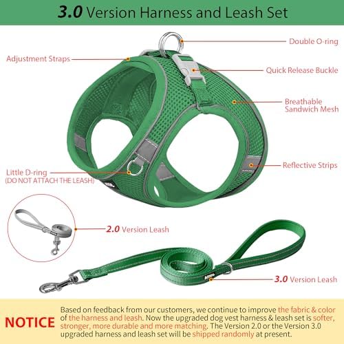 AIITLE Small Dog Harness and Leash Set, Step-in Puppy Pet Vest - Image 4