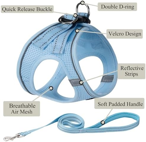 Dog Harness with Leash Set, Step-in Adjustable Puppy Pet Vest, Sky Blue XL - Image 2