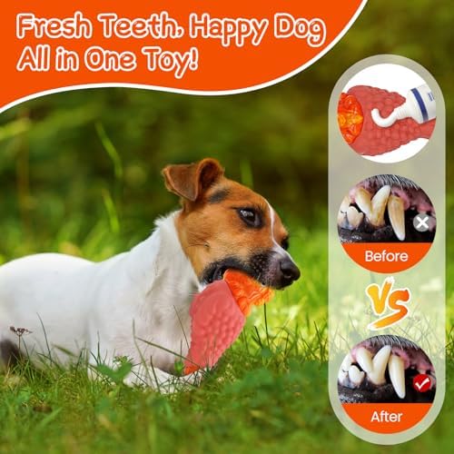 WinTour Tough Dog Toys for Aggressive Chewers, Dog Chew Toys for Large Dogs - Image 5