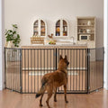 No Pawblems Freestanding Dog Gate by NoPawblems