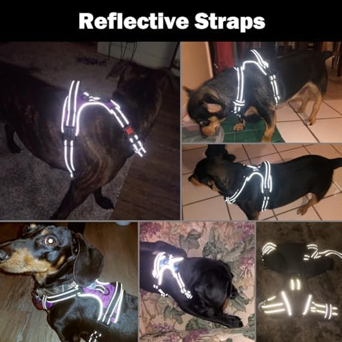 PHOEPET No Pull Dog Harness Medium Reflective Front Clip Vest - Image 5