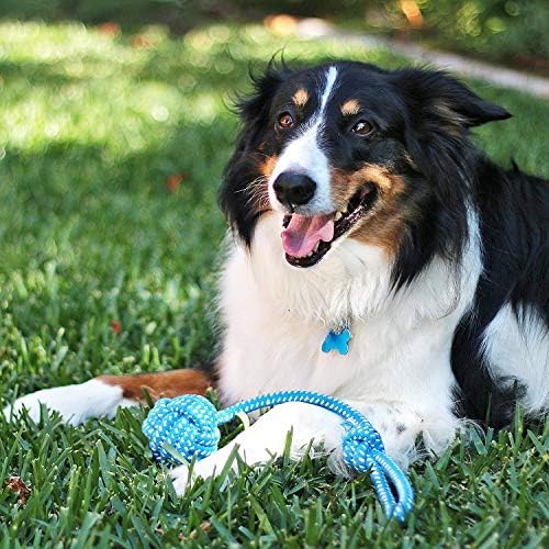 Pacific Pups Products Dog Rope Toys - Image 6