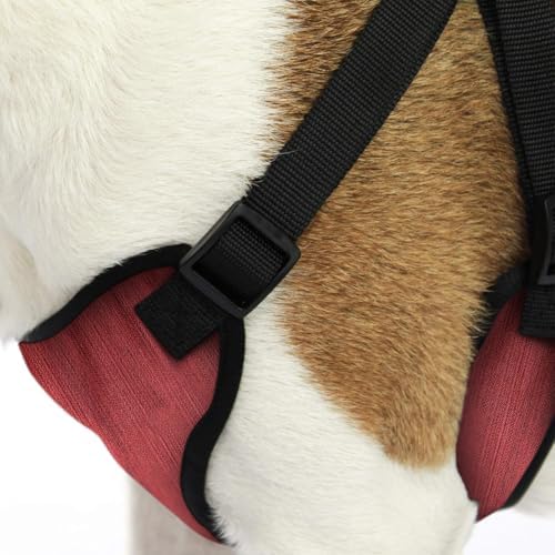 AKC Striped Step-in Dog Harness – No Pull Adjustable Vest - Image 3