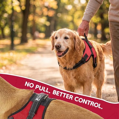 No Pull Reflective Adjustable Dog Harness - Image 6
