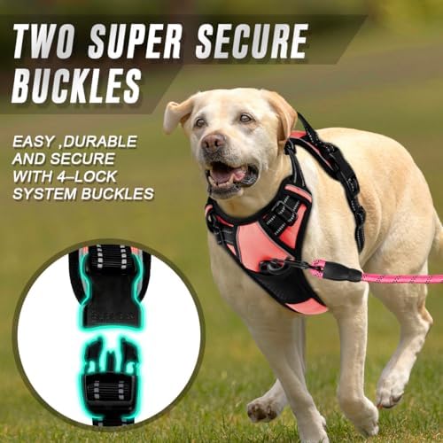 BARKBAY Dog Harness No Pull for Small Sized Dog Front Back Clips, Dog Vest - Image 4