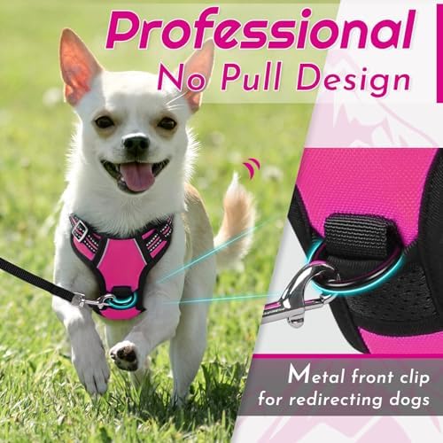 Eagloo Dog Harness for Small Dogs, No Pull Pet Vest - Image 3