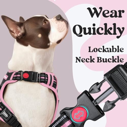 rabbitgoo Dog Harness Small Sized, Updated Easy On & Off - Image 2