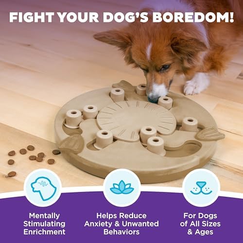 Outward Hound by Nina Ottosson Dog Worker Treat Puzzle Enrichment Toy, Level 3 - Image 2