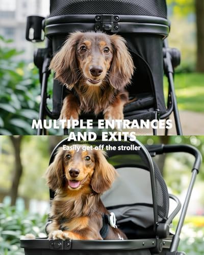 Pet Stroller for Small Dogs and Cats, One-Click Foldable Dog Stroller - Image 2