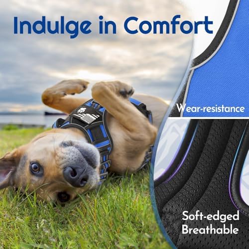 Eagloo Dog Harness No Pull for Small Dogs, Easy On & Off - Image 6