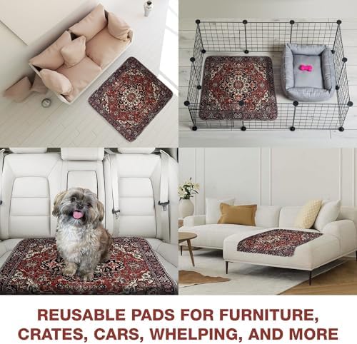 PUPIBOO Washable Pee Pads for Dogs and Cats - Image 4