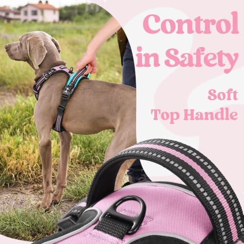 rabbitgoo Dog Harness for Large, Updated Easy On & Off - Image 4