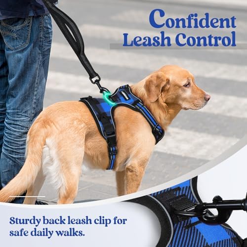 rabbitgoo Dog Harness, No Pull for Large Dogs - Image 6