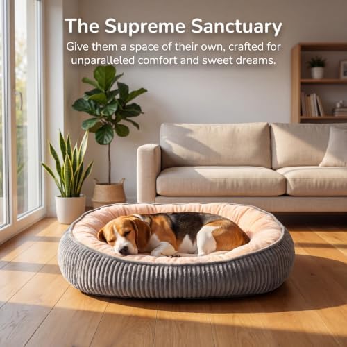 Calming Dog Bed for Medium Dogs, Orthopedic Washable Pet Bed - Image 7