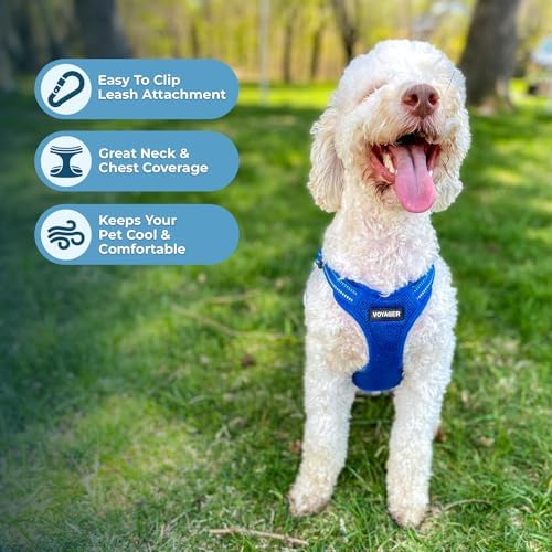 Voyager Step-in Flex Adjustable Dog Harness - Image 5