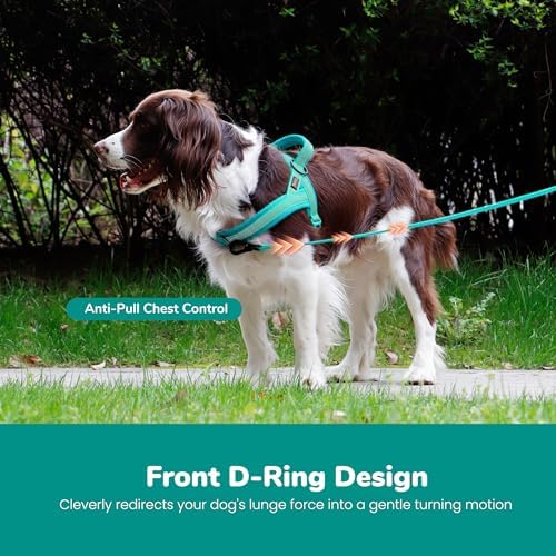 Didog No Pull Dog Harness for Large Dogs, Breathable Mesh Padded - Image 5