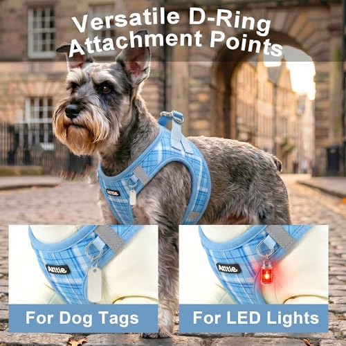 AIITLE Step in Dog Harness and Leash Set Plaid Adjustable - Image 2