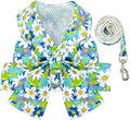 BAEJMJK Dog Harness and Leash Set by BAEJMJK