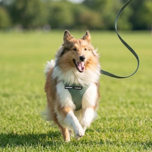 Best Pet Supplies Voyager Step-in Air All Weather Mesh Harness and Reflective - Image 7