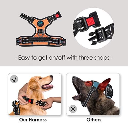 PHOEPET No Pull Dog Harnesses for Small Dogs Reflective Adjustable - Image 4