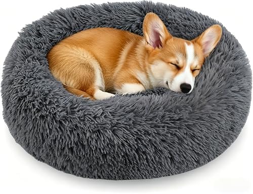Calming Donut Dog and Cat Bed for Indoor Cats, Anti-Anxiety Round Fluffy Soft by Homeuslynn