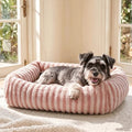 MIXJOY Dog Beds for Small Dogs Cats，Small Dog Bed Washable by MIXJOY