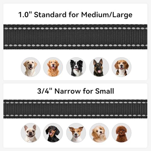 Joytale Reflective Dog Leash for Small Dogs, 4 FT x 3/4" - Image 6