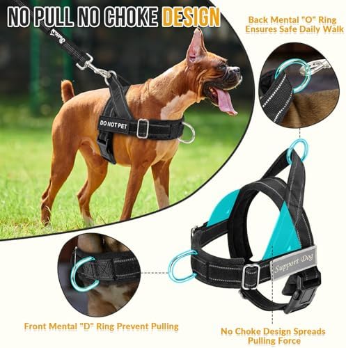 Lukovee No Pull Dog Harness and Leash Set, Soft Padded - Image 2