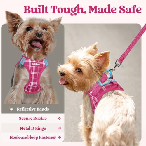 rabbitgoo Dog Harness Medium Sized and Leash Set, Step-in Puppy Pet Vest - Image 6